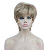 Aimole Short Layered Straight Wigs Synthetic Women's Wig Full Hair (H16-613)