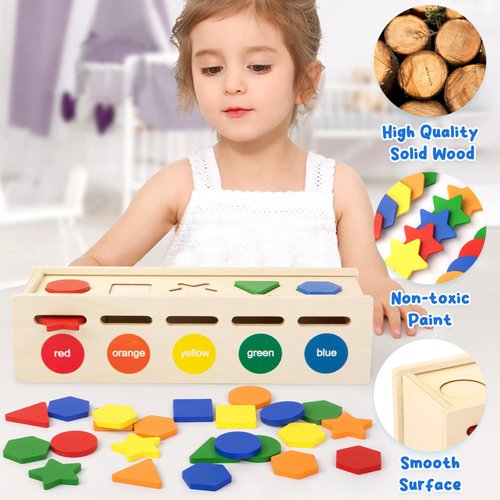 Shape Sorter Wooden Color Sorting Toys for Toddlers 1 2 3 4 Year Old Matching Shape Sorters Toys Wooden Blocks Learning Educational Toys for Boys Girls Classroom Birthday Easter Gifts