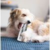 GabeFish 2PCS Funny Dog Chew Toys, Newspaper Dog Toy, 6.2 x 2.1-in (16 x 6.5 cm), Durable Squeak Toy for Dogs