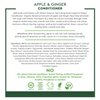 Desert Essence Green Apple & Ginger Shampoo & Conditioner Bundle - 8 Fl Ounce - Volume For Fine Hair - Natural - Deep Moisturizing - Antioxidants - Maca Root - Softer & Shinier - Smooth & Silky