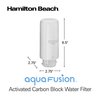 AquaFusion CleanGuard 100 Gallon Activated Carbon Block Replacement Filter, White Water Filtration System