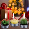 Cactus Tealight Candles(18 Pcs Gift Boxed), Artificial Succulents Decorative Tea Light Candles,Perfect for Birthday Wedding Party Home Decor