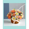 DIY Felt Flower Art Craft Kit, DIY Felt Daisy Bouquet Kit,Floral Gifts,Beginner Craft Kit,Arrange Pre-Cut Felt Flowers and Foliage