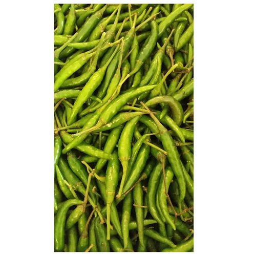 Thai Fresh Chili Peppers 1 lb.