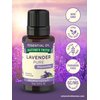 Nature's Truth Aromatherapy Pure Essential Oil, Lavender, 0.51 Fluid Ounce