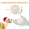 SKIPDAWG Interactive Squeaky Dog Ball, Light Up Dog Ball Glow in Dark, Floating Dog Toy Ball Durable TPR Light Weight, Bouncy Dog Tennis Ball for Dogs Size 2.5 Inches, 1 Pack