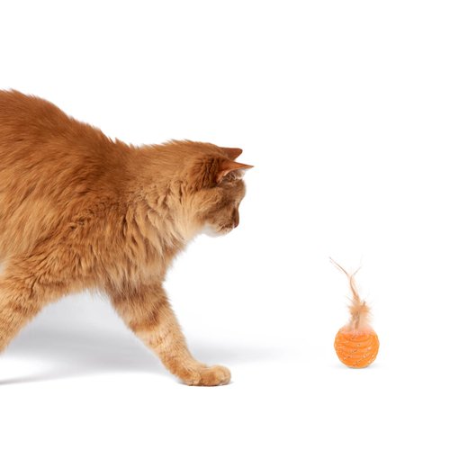 Balacoo 6 Pcs Cat Ball Toys Cat Toy Cat Educational Toys Pineapple Balls Pet (Random Color)
