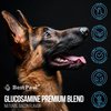 Best Paw Nutrition - Bacon Flavor Liquid Glucosamine for Dogs & Cats - Joint Supplement for Hip & Joint Pain Relief Pets Love - 32oz