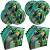 40Pcs Zeldas Party Supplies include 20 plates, 20 napkins for the Zeldas birthday party decoration