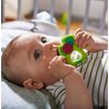 HABA Lucky Shamrock Safe Silicone Teether and Grasping Toy for Developmental and Sensory Play for Babies 6 Months and Up - Dishwasher Safe