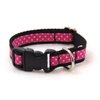 Sunset Polka Dot Pink/Black Dog Collar (Sm-5/8 x8-14")