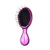 iBeauty™ Mini Hair Brush - Porcupine Bristles (2050 pink)