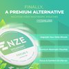 NZE Caffeine Free Nootropic Pouches (Spearmint) - Nootropic Pouches with Alpha GPC, L-Tyrosine & L-Theanine - No Sugar or Artificial Sweeteners - 15 Nicotine Free Pouches Per Can - 5 Pack