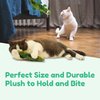 BubuKuku 2Pacs Catnip Toy for Indoor Cat - Soft Cat Toy - Natural Interactive Catnip Cat Kicker - Cute Cat Stuff - Cat nip Toys - Catnip for Cats