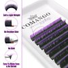 Purple Ombre Colored Lash Extension 0.07 C Curl 8-14mm Mix Tray, CoMango Black Gradient Purple Easy Fan Volume Eyelash Extensions, Lashes Soft Matte Salon Use, Self Fanning Volume Lashes！