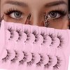 DSLONG Cat Eye Lashes Natural Look Manga Lashes Clear Band False Eyelashes Look Like Lash Extension 12mm Fluffy Wispy Short Fake Eyelashes 7 Pairs Fox Eye Natural Lashes (CB-01)