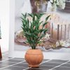 Jeankak Miniature 1:12 Dollhouse Plant, Vivid Dollhouse Bonsai, Dollhouse Accessory Dollhouse Furniture for Dollhouse