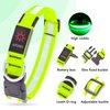 Vizpet LED Dog Collar, Light Up Dog Collar Adjustable USB Rechargeable Super Bright Safety Light Glowing Collars for Dogs(Medium,Green)