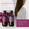 Theorie Helichrysum & Plum Nourishing Conditioner - Enrich and Soothe - Suited for Dry & Over Processed Hair - Protects Color & Keratin Treated Hair, Pump Bottle 400mL, Label Design May Vary