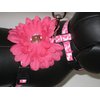 Small Pink Leopard Print 4" Flower Dog Harness or Cat Harness: Neck 10-14" Girth 14-20"