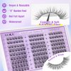 ALICE Wispy Lash Clusters Kit, Natural Lash Extension Kit Cluster Eyelash Extension Kit, 162pcs C Curl 10-14mm Eyelash Clusters with Lash Glue Bond and Seal Tweezers