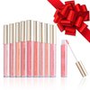 Beauty Concepts Lip Gloss Collection – Shimmering, Glossy Lip Makeup Set for a Radiant Finish, Pink Colors Collection