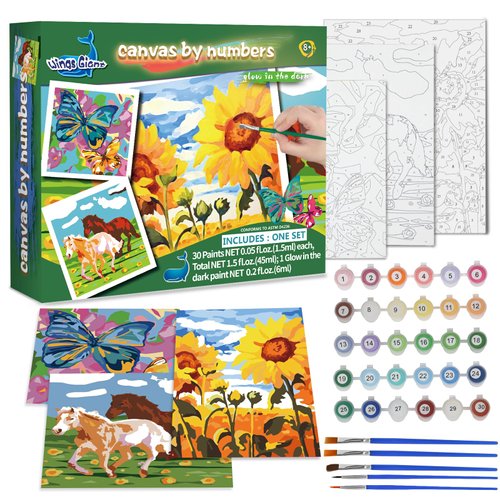 Wings Giant Paint by Numbers Kit for Kids, Flower Crafts and Fun, Acrylic Paint Set, Canvas Painting Kit, Include Framed Pre-Drawn Canvas, Color by Numbers