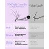 BEYELIAN Easy Fan Lash Extension, 3D Fluffy Rapid Volume Lash Extensions Easy Fan C/D Curl 0.07/0.05 MIX 8-15mm, Automatic Blooming Camellia Easy Fan Lashes Self Fanning Eyelashes Extension (C-0.07)