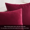 MIULEE Pack of 2 Velvet Soft Solid Decorative Square Throw Pillow Covers Set Cushion Cases Pillowcases for Sofa Bedroom Couch Car18x18 Inch 45x45 Cm