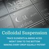 Morter Trace Minerals in Colloidal Suspension — Morter HealthSystem Best Process Alkaline — Nutrient Dense Trace Elements, Fulvic Minerals & Amino Acids