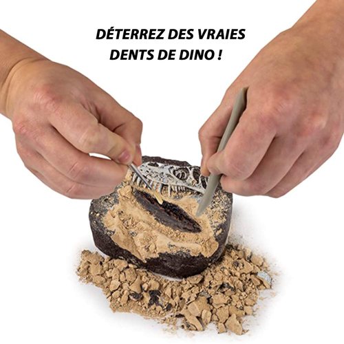 National Geographic Dinosaur Dig Kit - Fascinating Excavation Kits for Kids with Replica T-Rex Tooth and Genuine Dino Poop Fossil | STEM Educational Science Kits Gifts for 8+ Year Old Boys and Girls