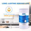 GOLDEN ICEPURE 5 Micron 4.5" x 10" Whole House Sediment Water Filter Compatible for GE GXWH30C GXWH35F, Plumber W10-PR, Culligan RFC-BBSA, W15-PR, Culligan HD-950, WFHD13001B 2PACK