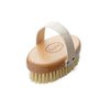 Gute Professional Dry Skin Body Brush, Dry Brush with Cactus/Vegetable Bristles (Firm/Extra Firm Bristles)