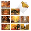 The Best Card Company - 10 Beautiful Note Cards Blank (4 x 5.12 Inch) - Fall and Autumn Season, Boxed Notecard Assortment - Fall Foliage M4971OCB-B1x10