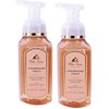Bath and Body Works Gentle Foaming Hand Soap, 8.75 fl oz (Pack of 2) (Champagne Toast)
