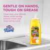 Clorox Fraganzia Liquid Dish Soap | Smells Great and Cuts Through Tough Grease FAST | Quick Rinsing formula Washes Away Dirt | A Powerful Clean You Can Trust, Orange Zest Scent, 22 Ounces