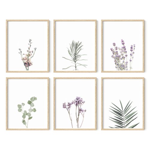 HAUS AND HUES Floral Prints and Plant Posters Set of 6 Botanical Prints and Floral Wall Art | Plant Prints | Plant Wall Art | Flower Wall Art | Plant Botanical Prints Set, UNFRAMED (8x10)