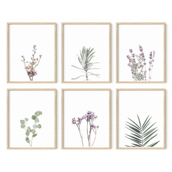 HAUS AND HUES Floral Prints and Plant Posters Set of 6 Botanical Prints and Floral Wall Art | Plant Prints | Plant Wall Art | Flower Wall Art | Plant Botanical Prints Set, UNFRAMED (8x10)