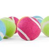 Leaps & Bounds Tennis Balls in Bucket Dog Toy, Medium, Pack of 10