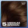 Clairol Nice'n Easy Permanent Hair Color, 5 Medium Brown, Pack of 1