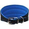 Real Leather Extra Wide Padded Tapered Dog Collar Glossy Black Greyhound Saluki Deerhound Lurcher Whippet Dachshund (13.25"-15.25" Neck; 2.5" Wide, Blue)