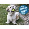 CountryMax Extra Small 1.8" Tennis Balls for Small Breed Dogs (6 Pack)