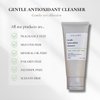 CELLVY Gentle Antioxidant Cleanser, Daily Anti-Aging Hydrating Face Wash, Nourishing, Balancing, and Deep Cleansing, Antioxidant Rich w/Aloe Vera & Green Tea Extract
