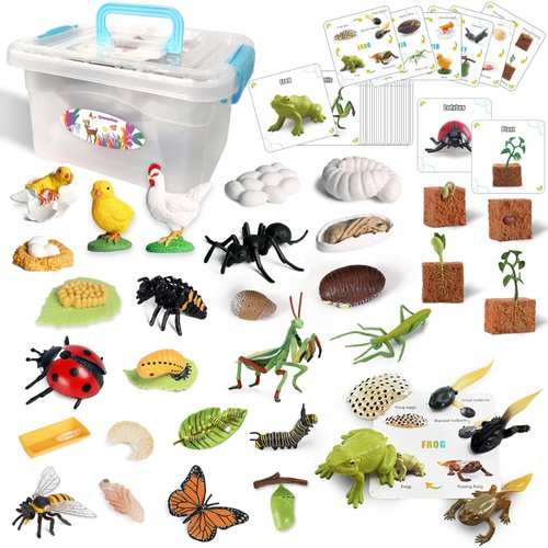 QuarenDen Life Cycle Toys, 33 PCS, Learning & Educational Toys, Realistic Figurine Toys, Preschool Science Learning Toys, Kids Animal Match Sets, Animal Toys Figurines for Age 3+ Boy and Girl
