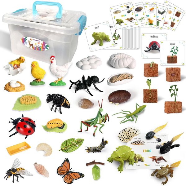QuarenDen Life Cycle Toys, 33 PCS, Learning & Educational Toys, Realistic Figurine Toys, Preschool Science Learning Toys, Kids Animal Match Sets, Animal Toys Figurines for Age 3+ Boy and Girl