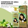 Dabur Amla Jasmine Hair Oil - Indian Hair Treatment for Healthy Hair, Moisturized Scalp, and Strengthening, Men and Women, 10.14 Fl Oz