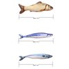 KTCLCATF Catnip Toys Set Simulation Fish Shape Doll Interactive Pets Pillow Chew Bite Supplies for Cat/Kitty/Kitten Fish Flop Cat Toy Catnip Crinkle Toys 3PCS (QDY-3PCS)