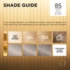 L'Oreal Paris Superior Preference Fade-Defying + Shine Permanent Hair Color, 8s Soft Silver Blonde (Pack of 1), Hair Dye