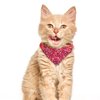 XIMA 6PCS Cat Bandana Collars with Removable Bow Tie for Cats Puppy Kittens Small Dogs Collars Adjustable Bandana