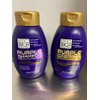 Pro Silk Purple Shampoo and Conditioner (1 of EA 14 oz)
